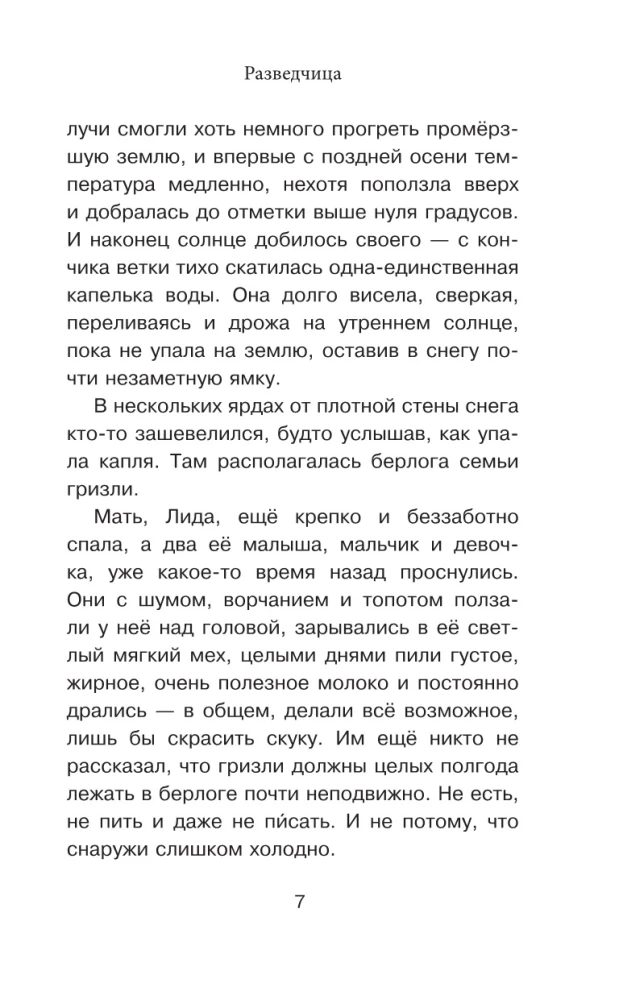 Karalis lāčiem