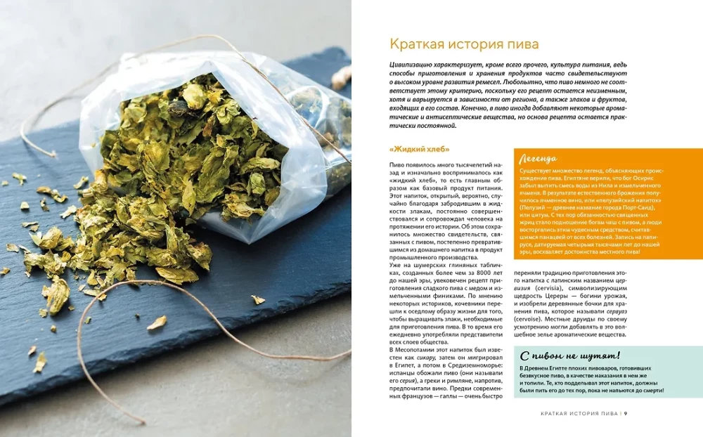 Mājas alus. Galvenās pagatavošanas, pildīšanas un uzglabāšanas tehnikas