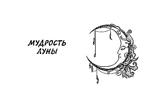 Таро сила дикой Луны. 44 карты и инструкция для гадания