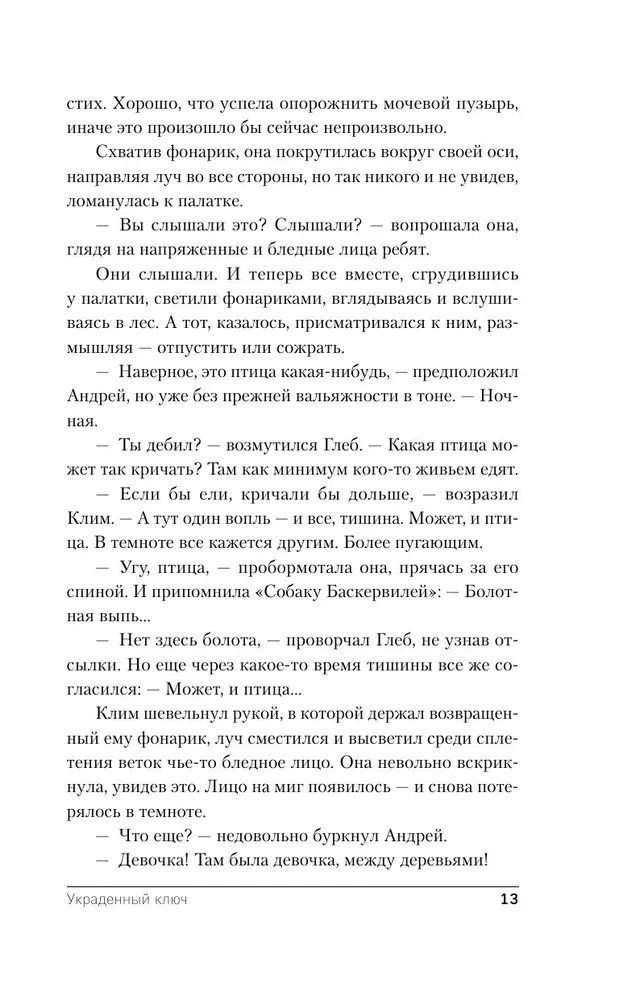 Украденный ключ