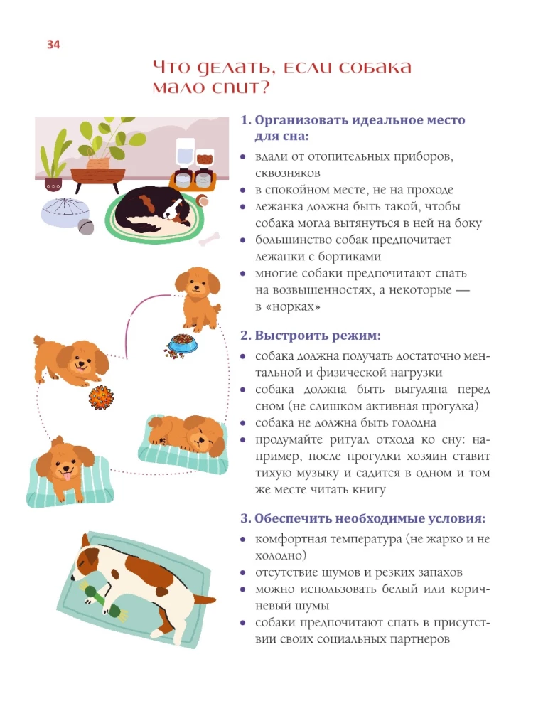 Suns vārdnīca. Ilustrēts ceļvedis suņa turēšanai un audzināšanai
