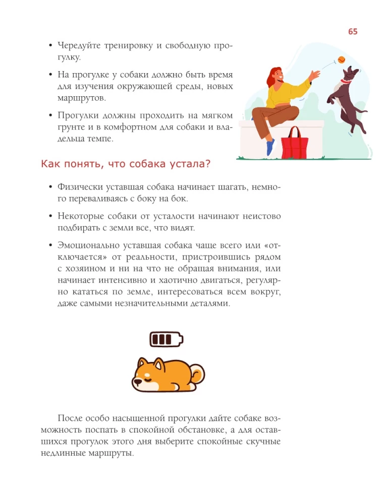 Suns vārdnīca. Ilustrēts ceļvedis suņa turēšanai un audzināšanai