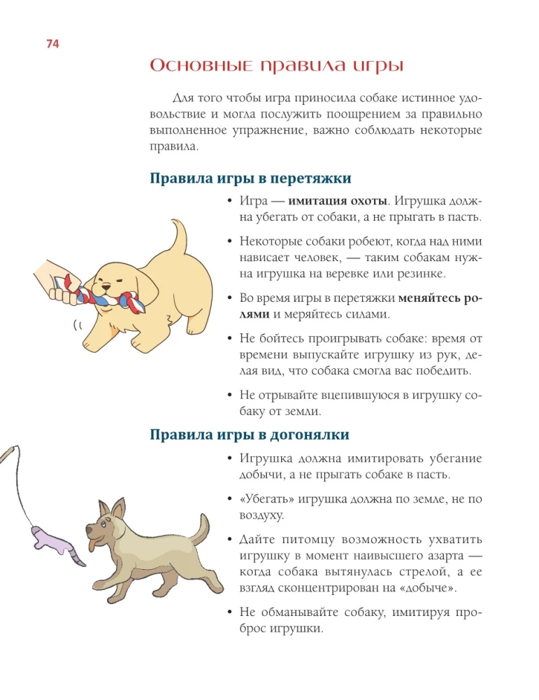 Suns vārdnīca. Ilustrēts ceļvedis suņa turēšanai un audzināšanai