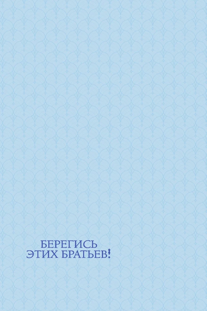 Берегись этих братьев! Том 2
