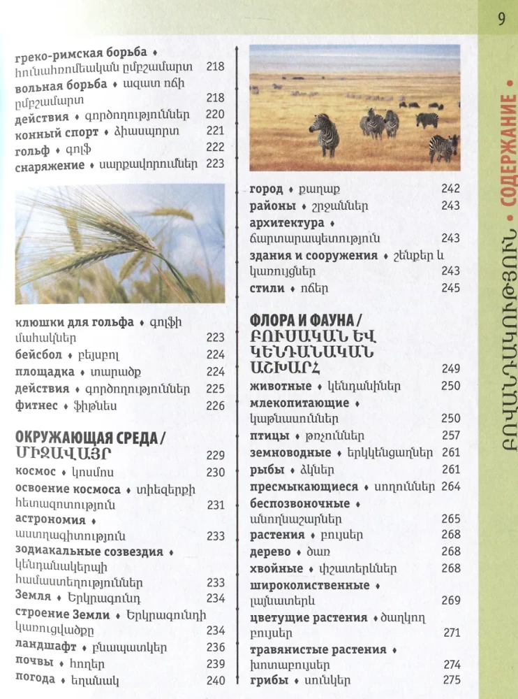 Армянско-русский визуальный словарь с транскрипцией