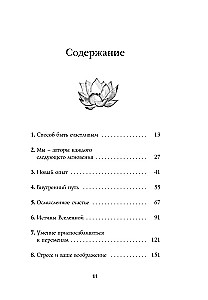 Счастье по дзен. Искусство любить то, что есть, и создавать то, что хочется