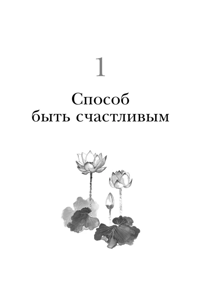 Счастье по дзен. Искусство любить то, что есть, и создавать то, что хочется