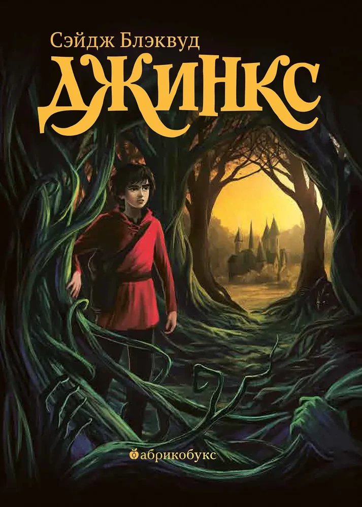 Džinks. Grāmata pirmā