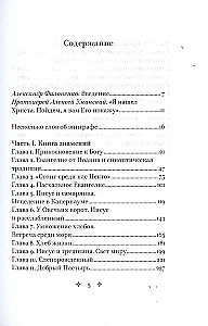 Свет во тьме светит. Евангелие от Иоанна: живой опыт прикосновения к вечности