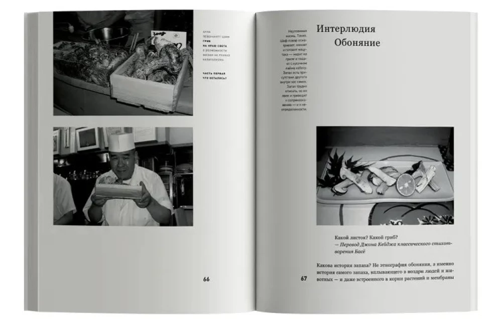 Гриб на краю света. О возможности жизни на руинах капитализма