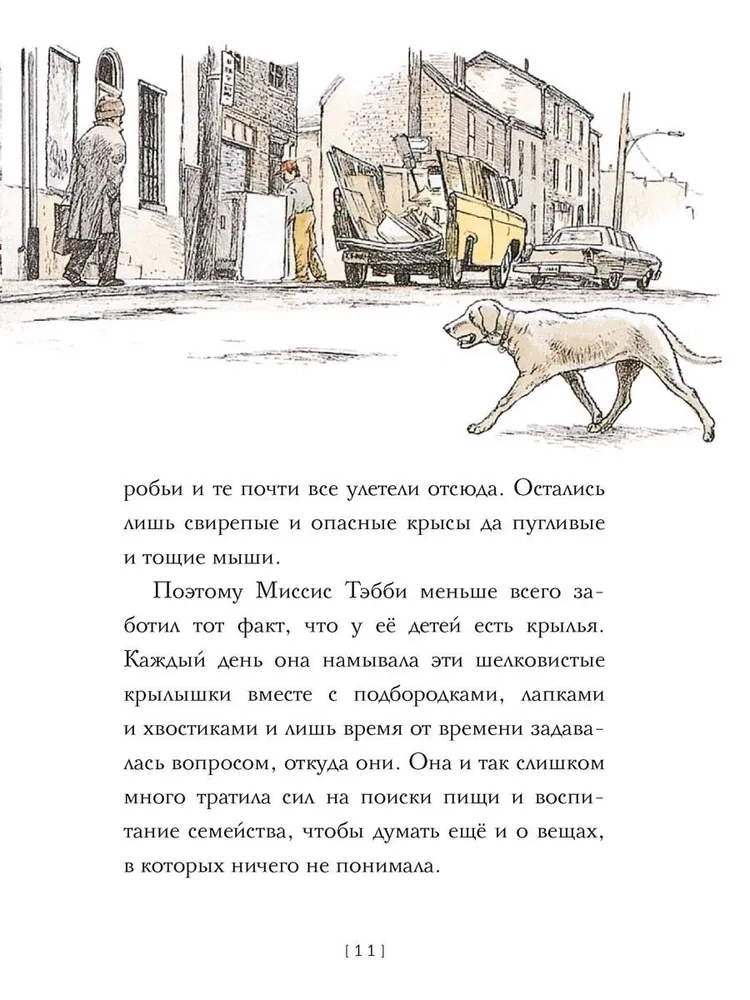 Lidojošās kaķes