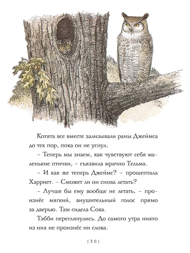 Lidojošās kaķes