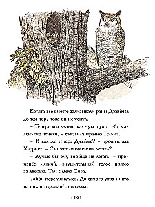 Lidojošās kaķes