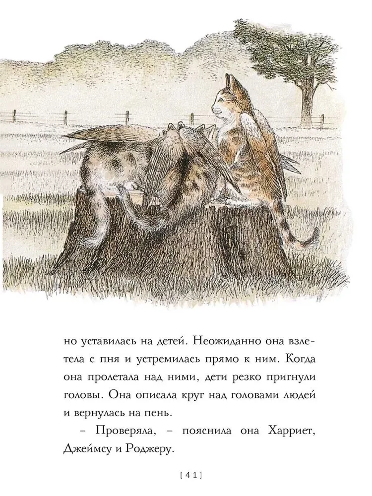 Lidojošās kaķes