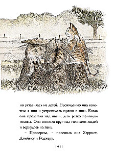 Lidojošās kaķes