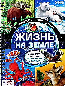 Жизнь на земле. Животные и где они обитают