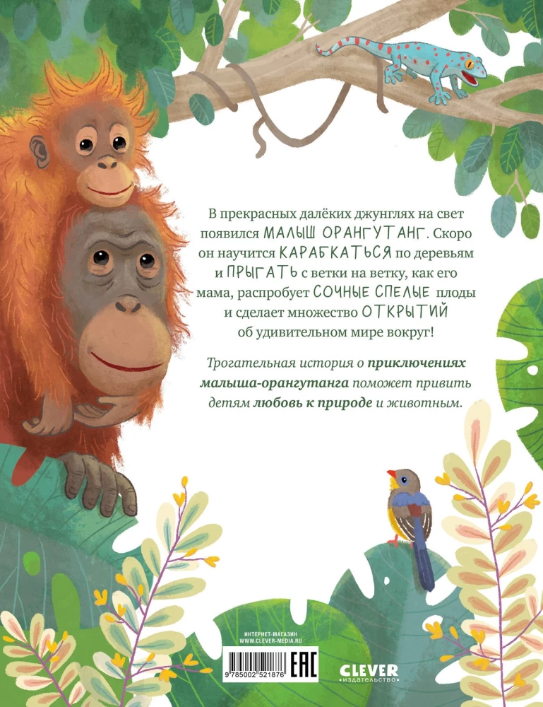 Mazais orangutāns. Piedzīvojumi tropu mežos