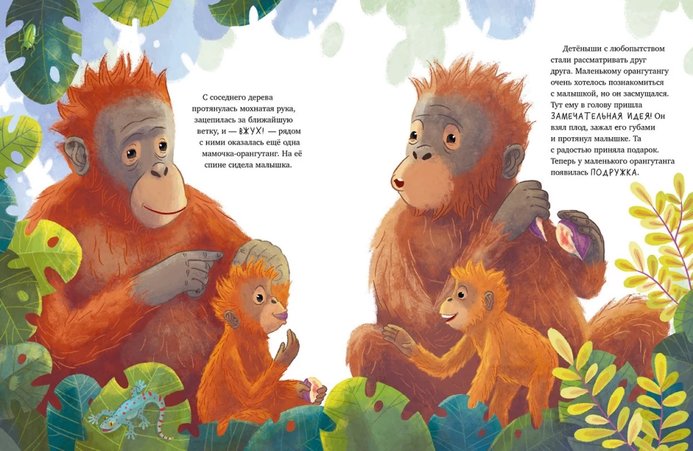 Mazais orangutāns. Piedzīvojumi tropu mežos