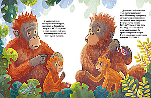 Mazais orangutāns. Piedzīvojumi tropu mežos
