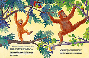 Mazais orangutāns. Piedzīvojumi tropu mežos