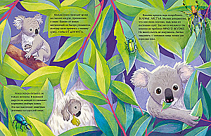 Mazais koala. Piedzīvojumi eikalipta mežā
