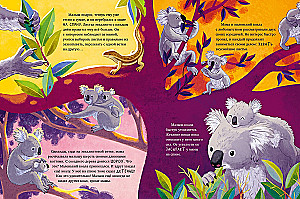 Mazais koala. Piedzīvojumi eikalipta mežā
