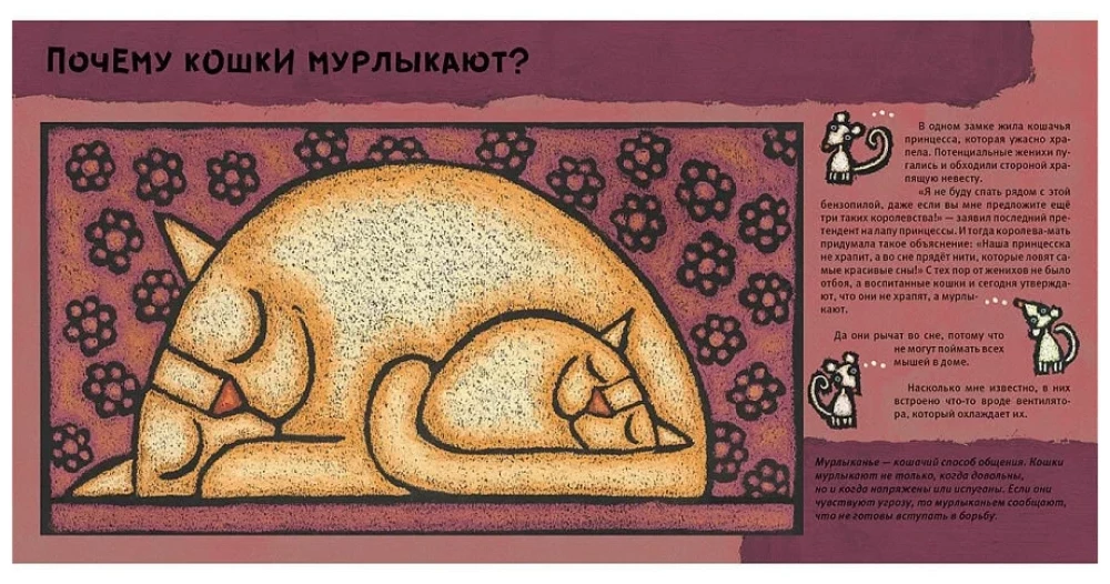 Kaķu kāpēc