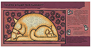 Kaķu kāpēc