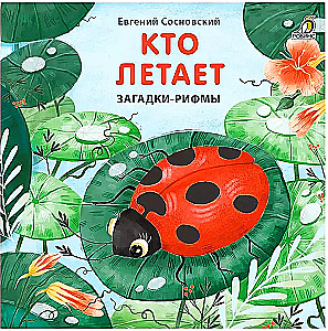 Kas lido. Mīklas-rīmes