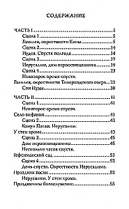 Один из двенадцати. Библейская драма в стихах