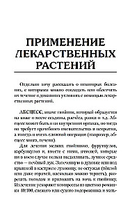 Травник знахаря. Практическая книга по траволечению