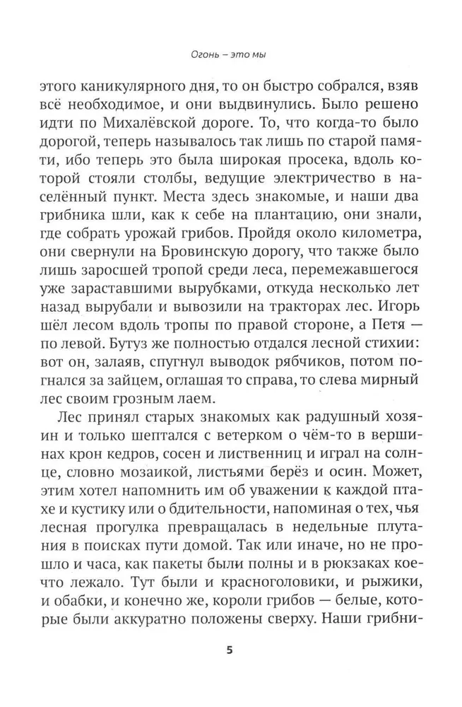 Огонь - это мы. Рассказы о земном и надземном