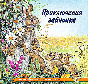 Приключения зайчонка