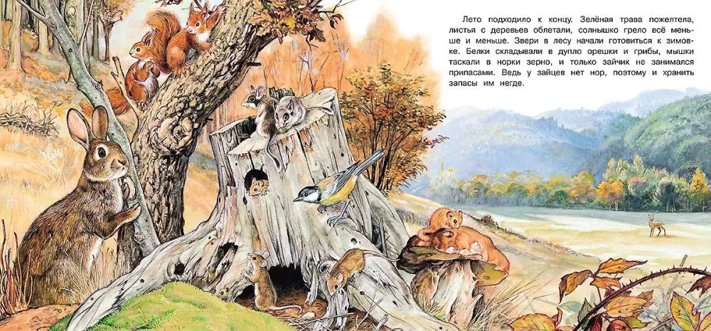 Приключения зайчонка