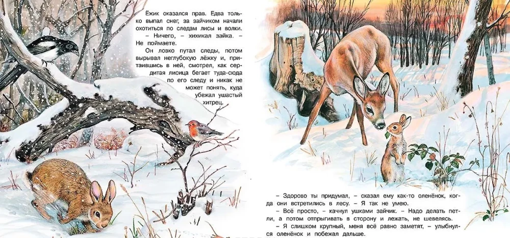 Приключения зайчонка