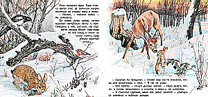Приключения зайчонка