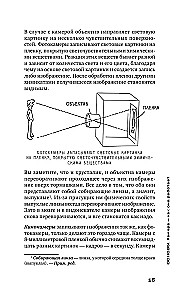 Базовый курс: Операторское искусство. Учимся снимать на плёнку и цифру