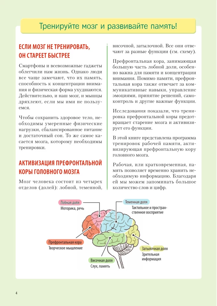 Заставь мозг работать. Эффективная тренировка памяти и мышления в любом возрасте