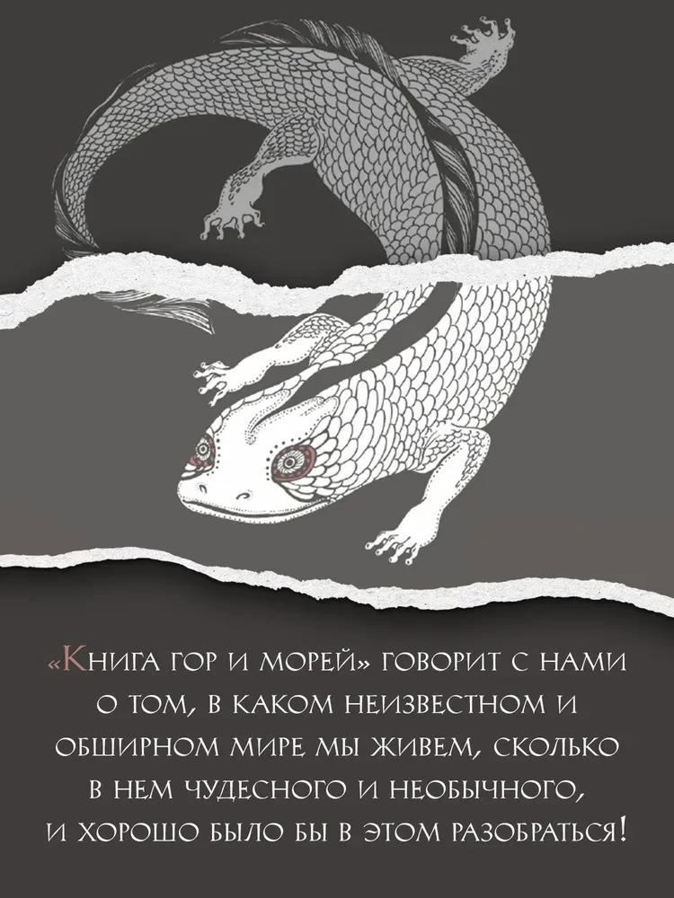 Книга гор и морей. Бестиарий Древнего Китая