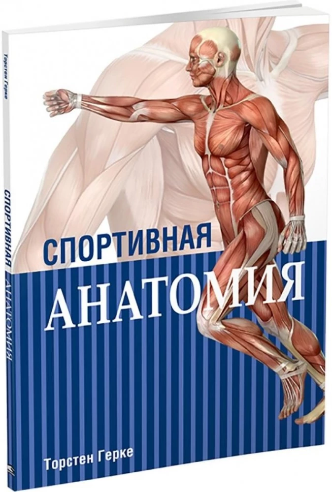 Спортивная анатомия