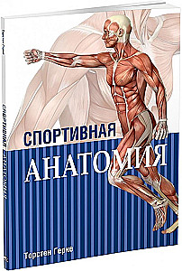 Спортивная анатомия