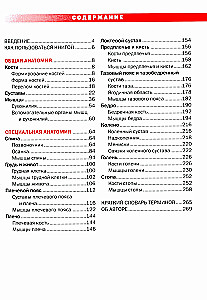 Спортивная анатомия
