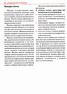 Спортивная анатомия