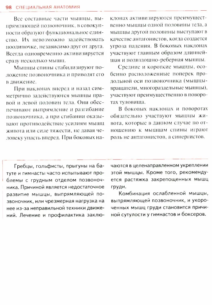 Спортивная анатомия