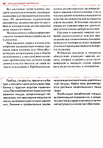 Спортивная анатомия