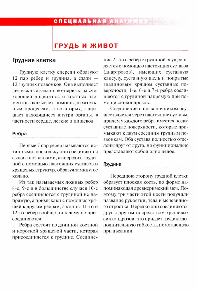 Спортивная анатомия