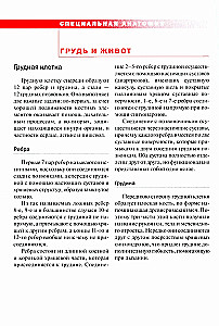 Спортивная анатомия