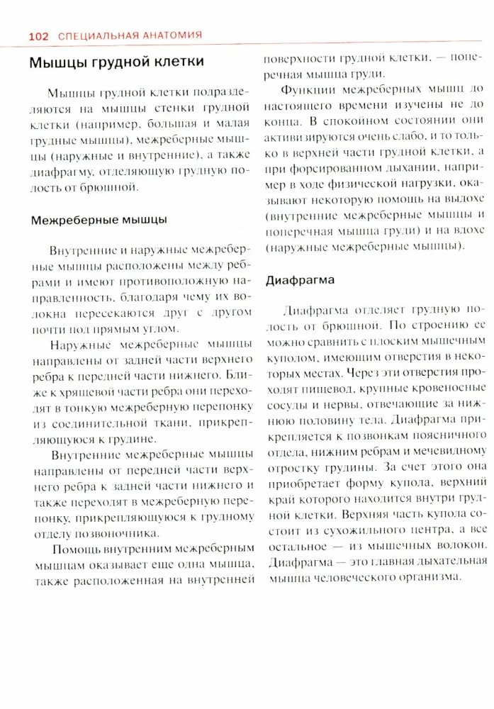 Спортивная анатомия