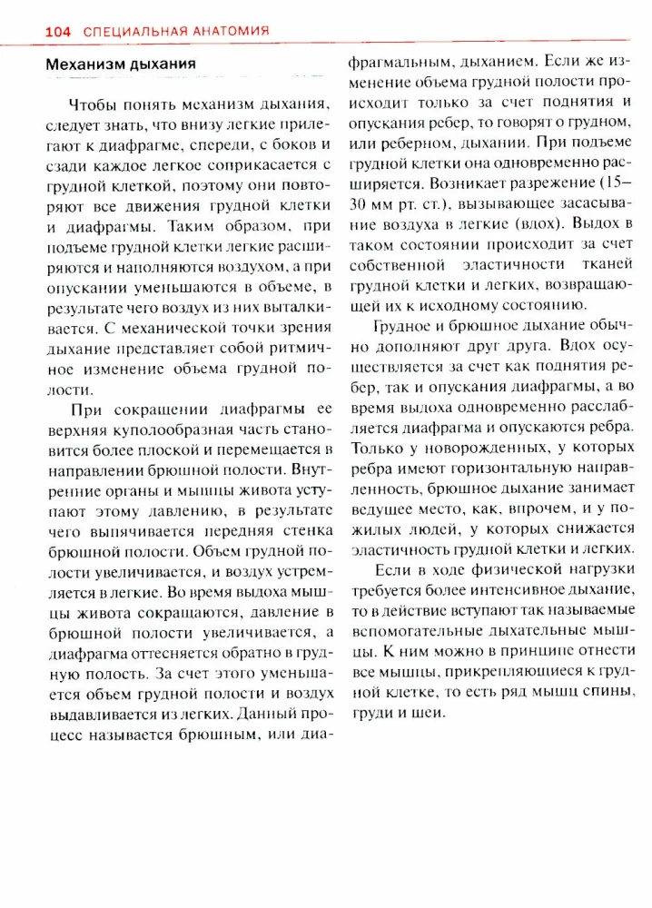 Спортивная анатомия
