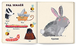 Мои первые животные